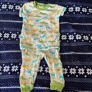 Dinosaur Print Kids Pajamas - Green and Gray
